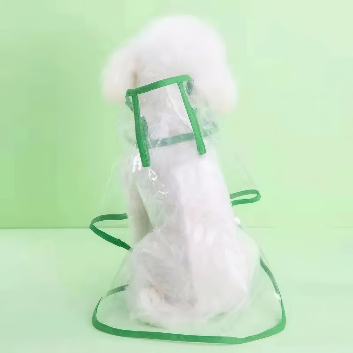 Back view of green Hooded Dog Raincoat