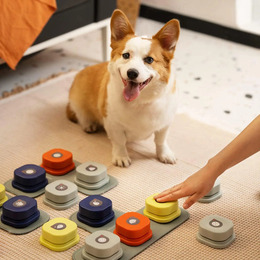 Interactive Dog Button with Voice Recording