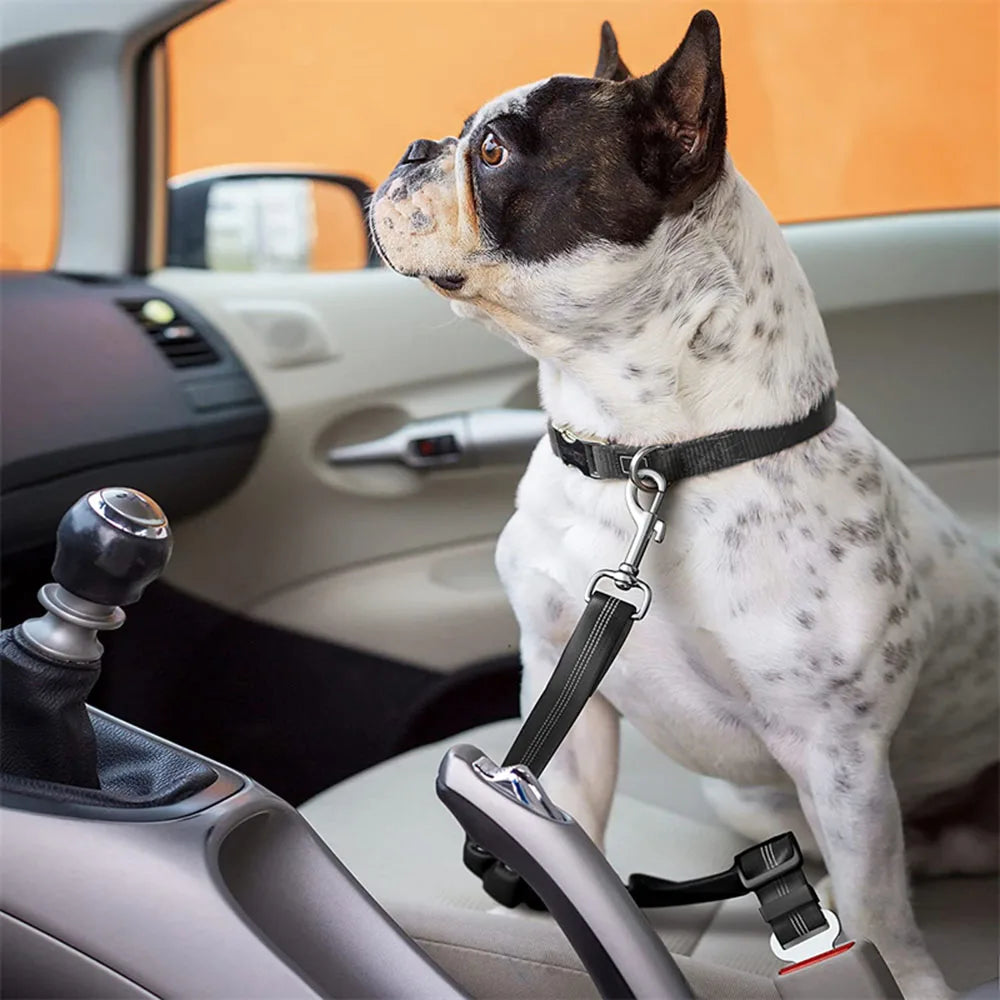 Adjustable Dog Car Seat Belt