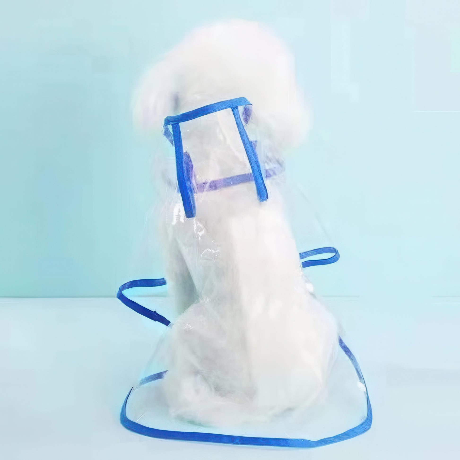 Back view of blue Hooded dog raincoat 